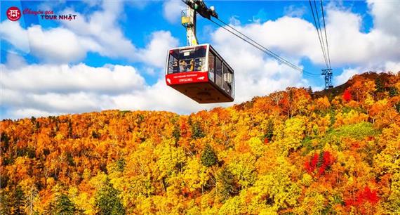 [HCM] Tour Nhật Bản Khám Phá Hokkaido Mùa Thu 6N5Đ